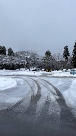 またまた大雪？！